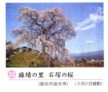石塚桜2018.4.7.jpg